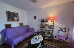 Popas La Doi Brazi - magazine, bar, terasă, casă boierească, grădină și piscină