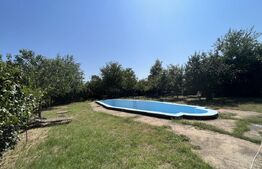 Popas La Doi Brazi - magazine, bar, terasă, casă boierească, grădină și piscină