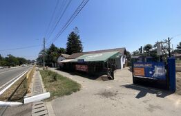 Popas La Doi Brazi - magazine, bar, terasă, casă boierească, grădină și piscină