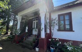 Popas La Doi Brazi - magazine, bar, terasă, casă boierească, grădină și piscină