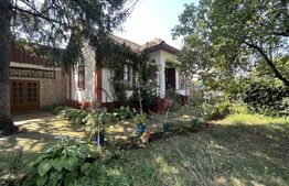 Popas La Doi Brazi - magazine, bar, terasă, casă boierească, grădină și piscină