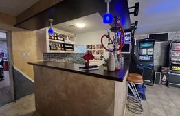 Popas La Doi Brazi - magazine, bar, terasă, casă boierească, grădină și piscină