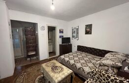 Popas La Doi Brazi - magazine, bar, terasă, casă boierească, grădină și piscină