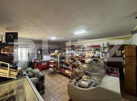 Casa de vânzare 4 camere Giubega - 165831CV | BLITZ Craiova | Poza11