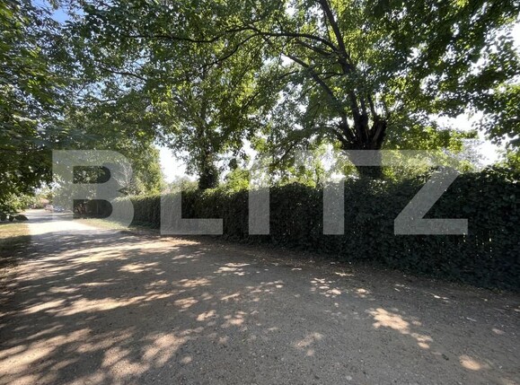 Casa de vânzare 4 camere Giubega - 165831CV | BLITZ Craiova | Poza6