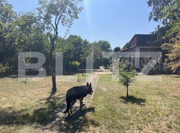 Casa de vânzare 4 camere Giubega - 165831CV | BLITZ Craiova | Poza27