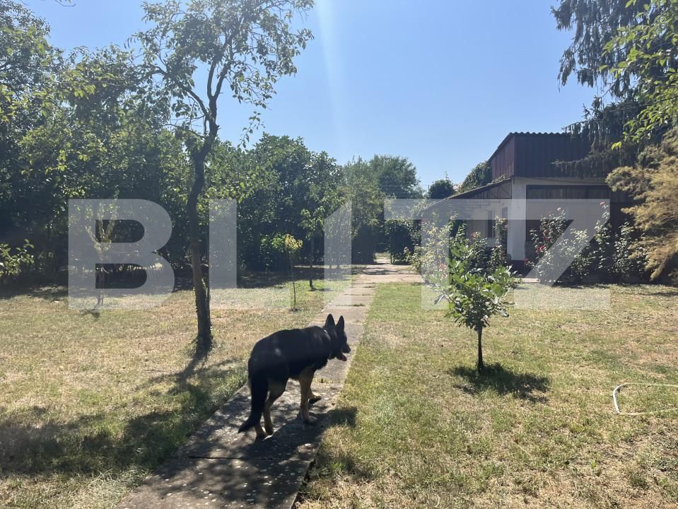 Casa de vânzare 4 camere Giubega - 165831CV | BLITZ Craiova | Poza27