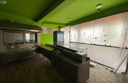 Spatiu comercial, 446 mp, teren 1307 mp, zona Romanești, posibilitate Rate