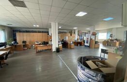 Clădire comercială 3225 mp, teren 5850 mp, zona Romanești