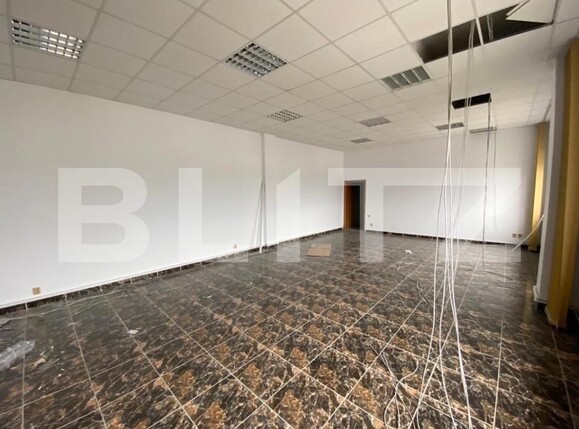 Spațiu comercial de vânzare Romanesti - 165841SVC | BLITZ Craiova | Poza6