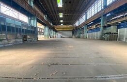 Spatiu industrial, 19900 mp, pod rulant 50 tone, zona Craiova Est