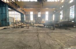 Spatiu industrial, 19900 mp, pod rulant 50 tone, zona Craiova Est