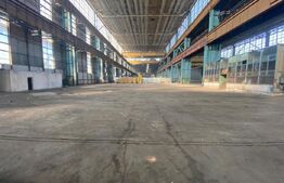 Spatiu industrial, 19900 mp, pod rulant 50 tone, zona Craiova Est