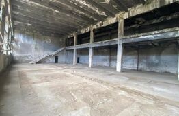 Hale 30000 mp, teren 65000 mp, acces la Centura de Sud II, zona Podari