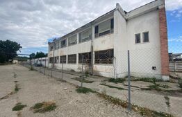 Hale 30000 mp, teren 65000 mp, acces la Centura de Sud II, zona Podari