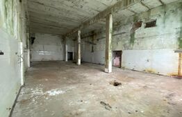 Hale industriale, 30000 mp, teren 65000 mp, zona Podari