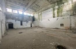 Hale industriale, 30000 mp, teren 65000 mp, zona Podari