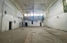 Hale industriale, 30000 mp, teren 65000 mp, zona Podari