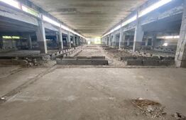 Hale industriale, 30000 mp, teren 65000 mp, zona Podari