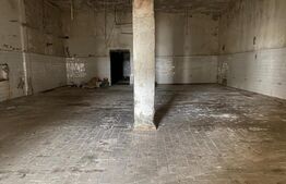 Hale industriale, 30000 mp, teren 65000 mp, zona Podari