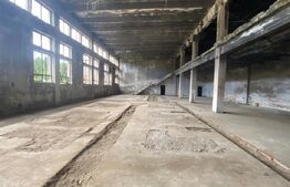 Hale industriale, 30000 mp, teren 65000 mp, zona Podari