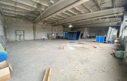 Hale industriale, 30000 mp, teren 65000 mp, zona Podari