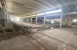 Hale industriale, 30000 mp, teren 65000 mp, zona Podari