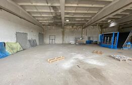 Hale industriale, 30000 mp, teren 65000 mp, zona Podari