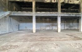 Hale industriale, 30000 mp, teren 65000 mp, zona Podari