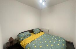 Apartament 3 camere, 53 mp, parter, zona casa Dobrescu