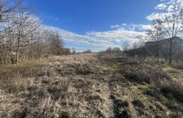 Teren 1100/2200 mp, zona Cosoveni-Profi