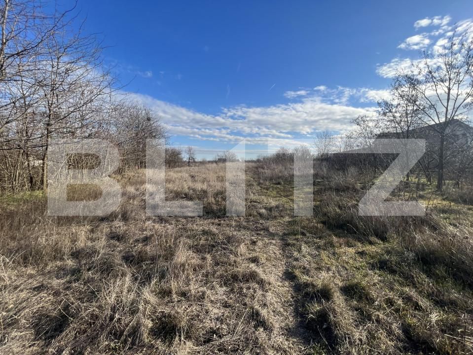 Teren de vânzare Cosoveni - 166013TV | BLITZ Craiova | Poza1