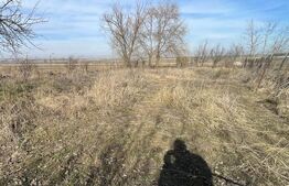 Teren extravilan de vanzare, 500 mp, zona Jumbo