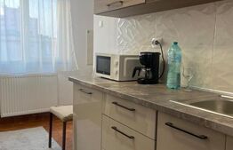 Apartament decomandat, cu 2 camere, centrală, AC, zona Craiovița Nouă