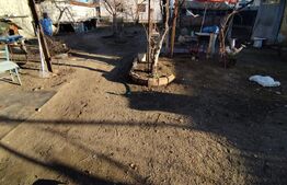 Teren 500 mp cu constructie veche, Catargiu, deschidere 30m