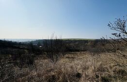 Conac cu teren intravilan 8759 mp, priveliste panoramica, Ciutura