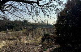 Conac cu teren intravilan 8759 mp, priveliste panoramica, Ciutura