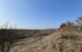 Conac cu teren intravilan 8759 mp, priveliste panoramica, Ciutura