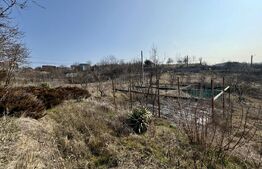 Conac cu teren intravilan 8759 mp, priveliste panoramica, Ciutura