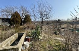 Conac cu teren intravilan 8759 mp, priveliste panoramica, Ciutura