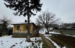 Teren Breasta, 1202 mp, intravilan, asfalt, curent, apa, canalizare