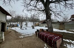 Teren Breasta, 1202 mp, intravilan, asfalt, curent, apa, canalizare