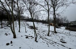 Teren Breasta, 1202 mp, intravilan, asfalt, curent, apa, canalizare