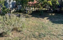 Casa batraneasca, locuibila, Podari, teren 1050 mp