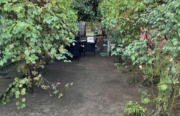 Casa batraneasca, locuibila, Podari, teren 1050 mp