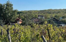 Casa de vânzare 4 camere Exterior Sud - 133209CV | BLITZ Craiova | Poza4