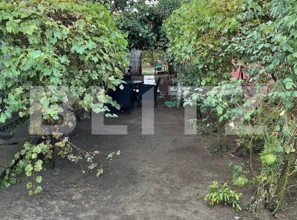 Casa de vânzare 4 camere Podari - 166228CV | BLITZ Craiova | Poza3