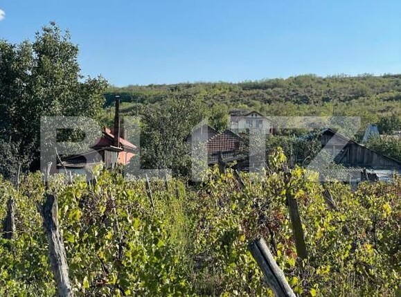 Casa de vânzare 4 camere Podari - 166228CV | BLITZ Craiova | Poza1