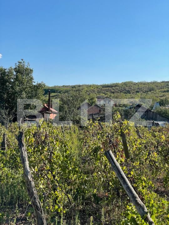 Casa de vânzare 4 camere Podari - 166228CV | BLITZ Craiova | Poza1