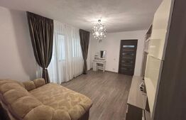 Apartament cu 3 camere, centrala si AC, parter, zona Piata Mare